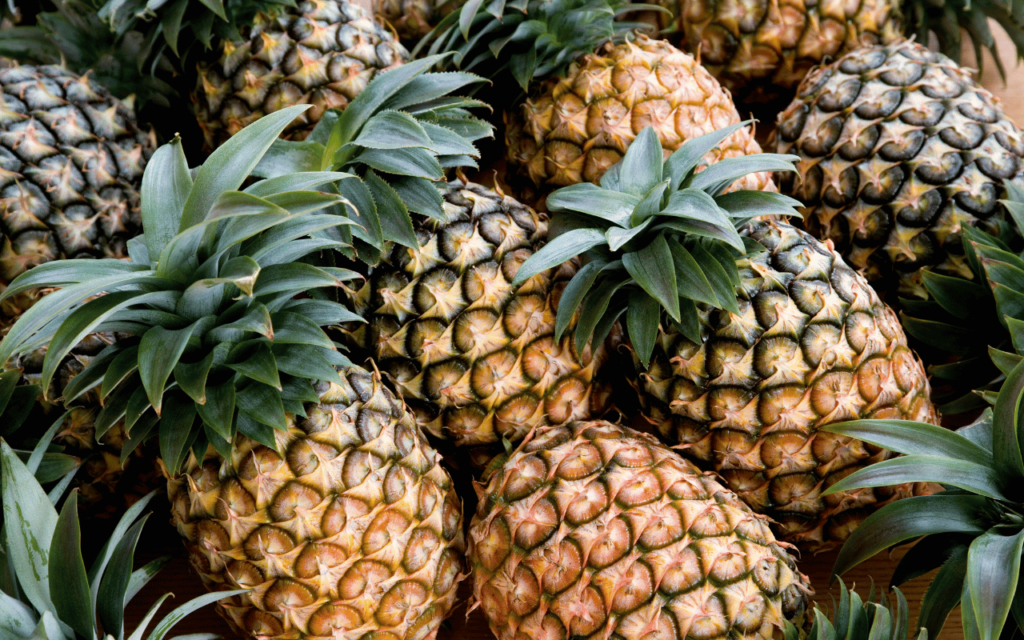 Alimentos que Elevam seu Bronzeado (Foto: Reprodução/Canva)